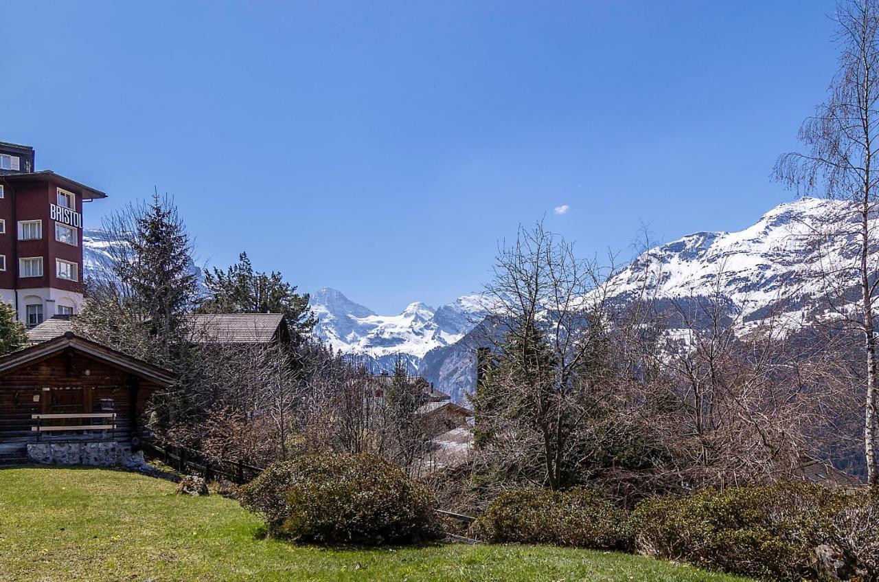 Chalet Steingaertli 1 Wengen Exterior foto